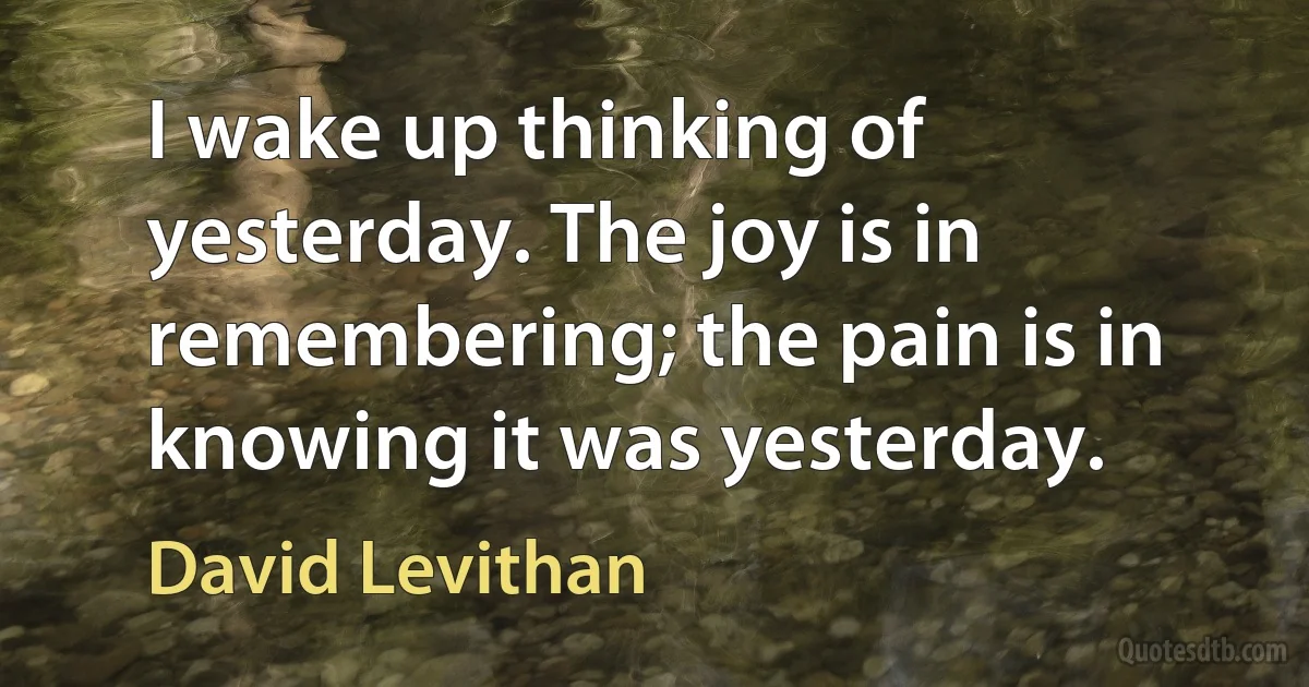 I wake up thinking of yesterday. The joy is in remembering; the pain is in knowing it was yesterday. (David Levithan)