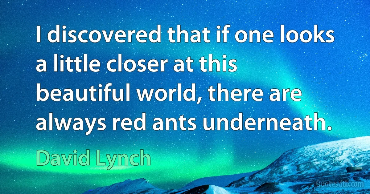 I discovered that if one looks a little closer at this beautiful world, there are always red ants underneath. (David Lynch)