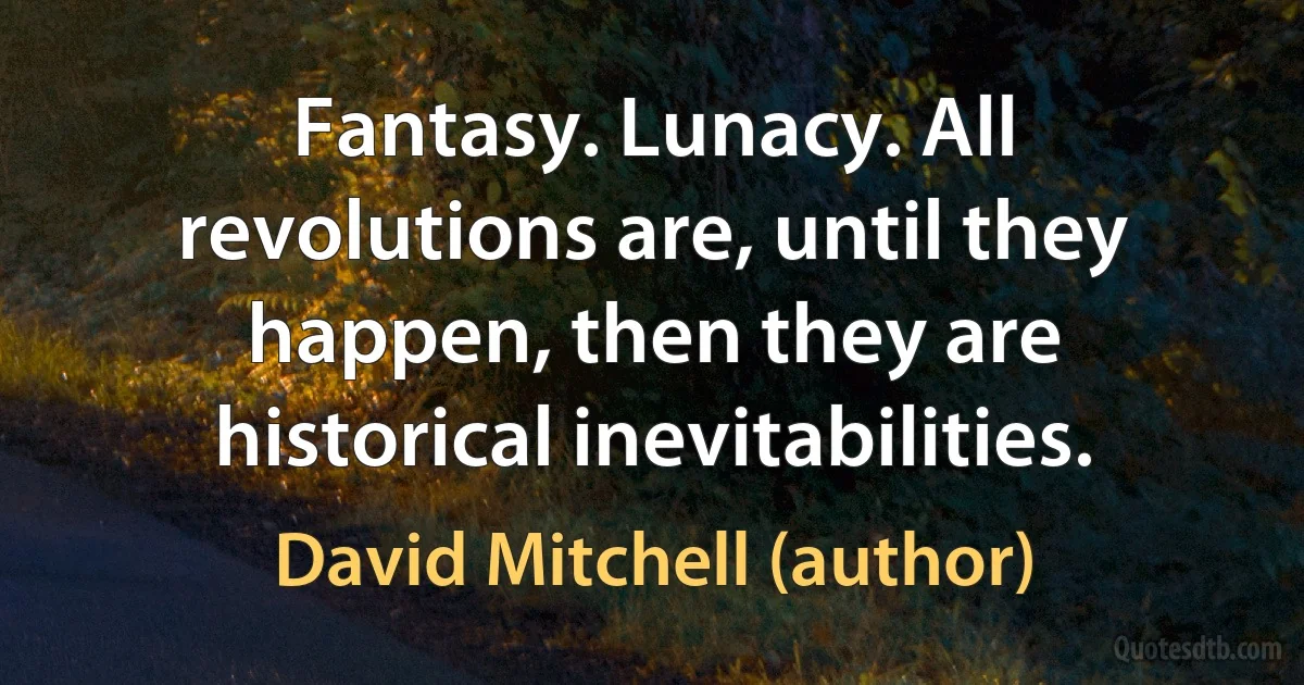 Fantasy. Lunacy. All revolutions are, until they happen, then they are historical inevitabilities. (David Mitchell (author))