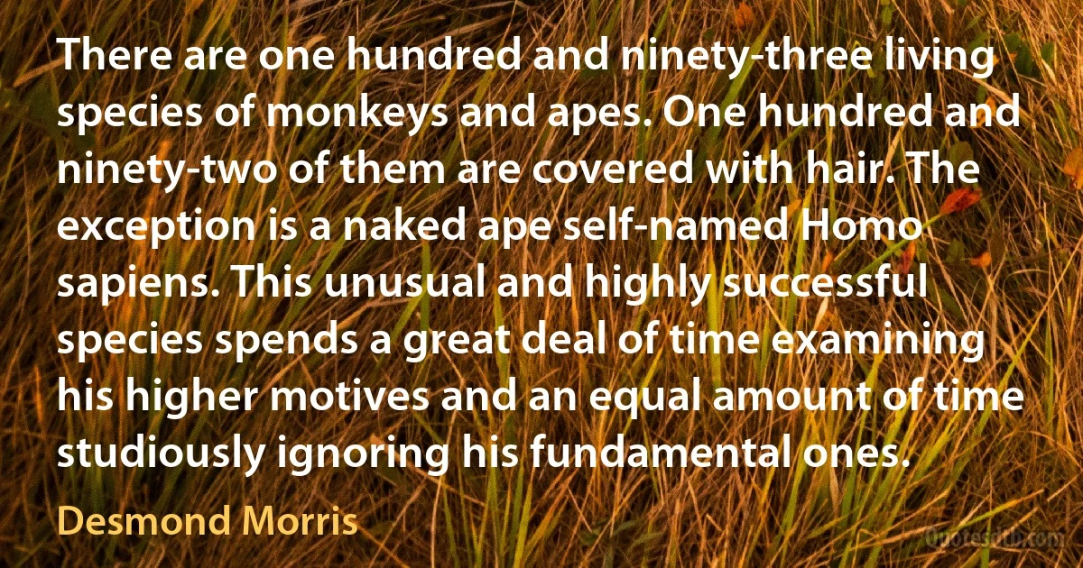 There are one hundred and ninety-three living species of monkeys and apes. One hundred and ninety-two of them are covered with hair. The exception is a naked ape self-named Homo sapiens. This unusual and highly successful species spends a great deal of time examining his higher motives and an equal amount of time studiously ignoring his fundamental ones. (Desmond Morris)