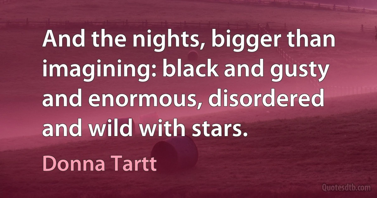 And the nights, bigger than imagining: black and gusty and enormous, disordered and wild with stars. (Donna Tartt)