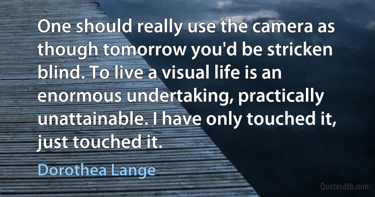 One should really use the camera as though tomorrow you'd be stricken blind. To live a visual life is an enormous undertaking, practically unattainable. I have only touched it, just touched it. (Dorothea Lange)