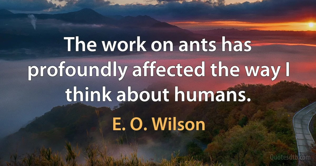 The work on ants has profoundly affected the way I think about humans. (E. O. Wilson)