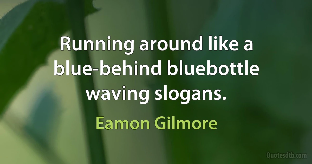 Running around like a blue-behind bluebottle waving slogans. (Eamon Gilmore)