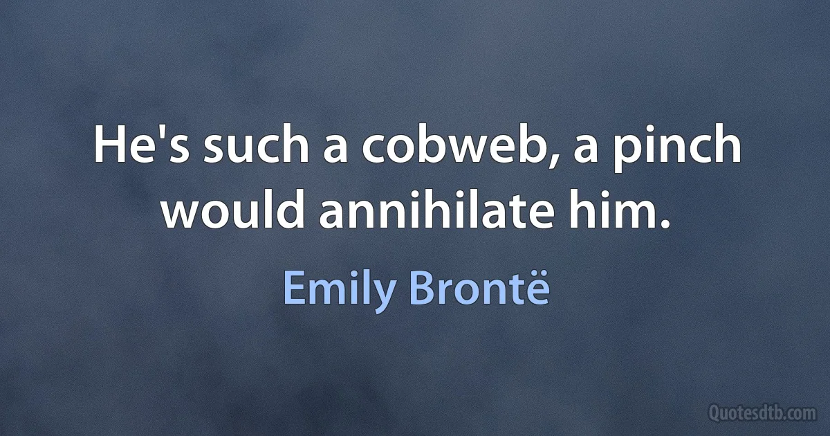 He's such a cobweb, a pinch would annihilate him. (Emily Brontë)