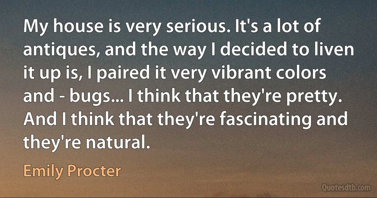 My house is very serious. It's a lot of antiques, and the way I decided to liven it up is, I paired it very vibrant colors and - bugs... I think that they're pretty. And I think that they're fascinating and they're natural. (Emily Procter)