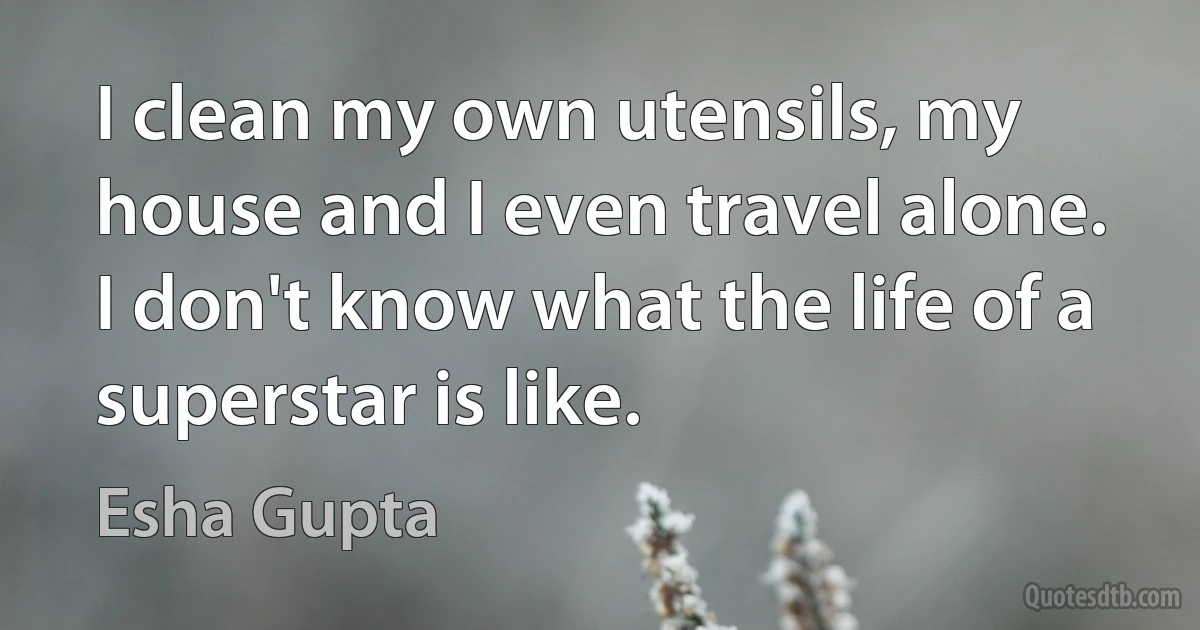 I clean my own utensils, my house and I even travel alone. I don't know what the life of a superstar is like. (Esha Gupta)