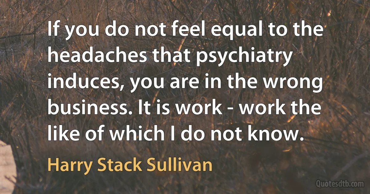 If you do not feel equal to the headaches that psychiatry induces, you are in the wrong business. It is work - work the like of which I do not know. (Harry Stack Sullivan)