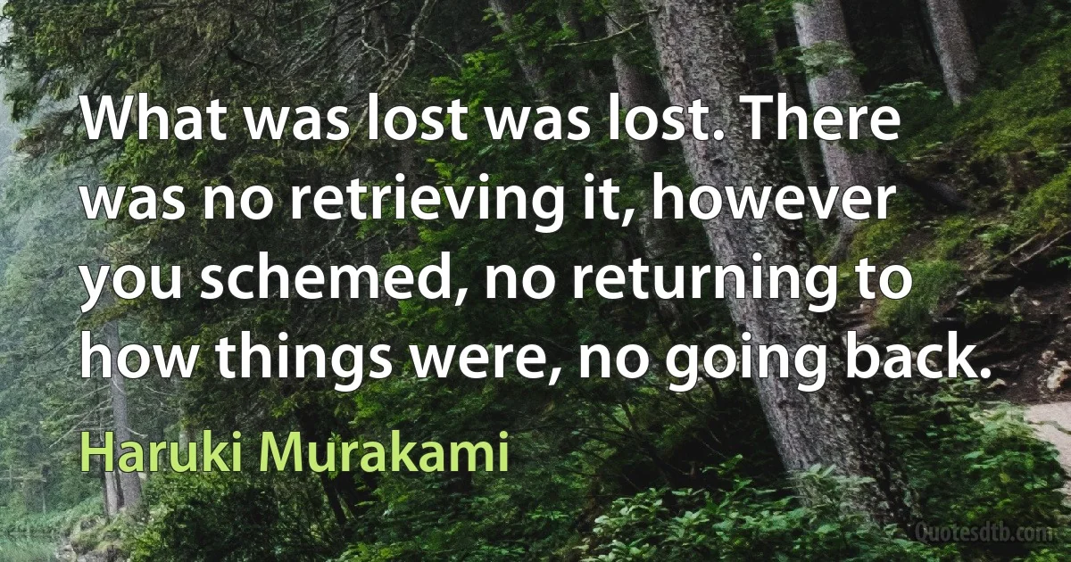 What was lost was lost. There was no retrieving it, however you schemed, no returning to how things were, no going back. (Haruki Murakami)