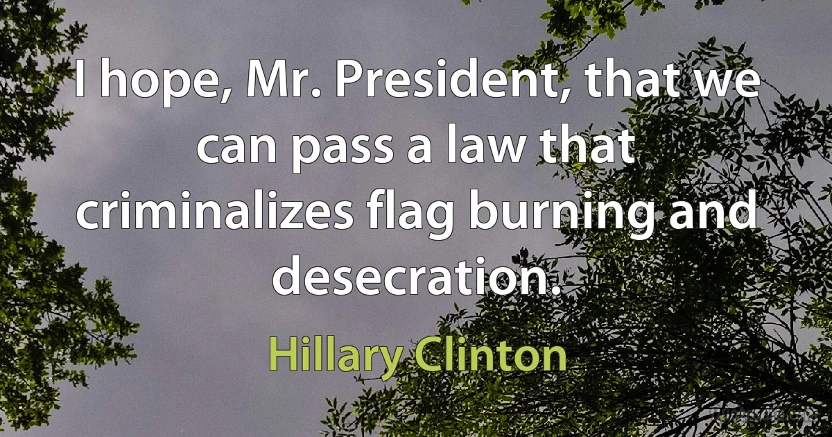 I hope, Mr. President, that we can pass a law that criminalizes flag burning and desecration. (Hillary Clinton)