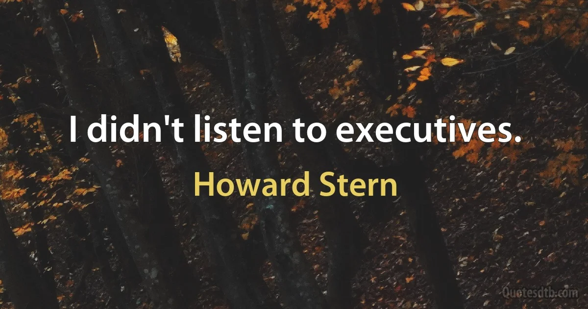 I didn't listen to executives. (Howard Stern)