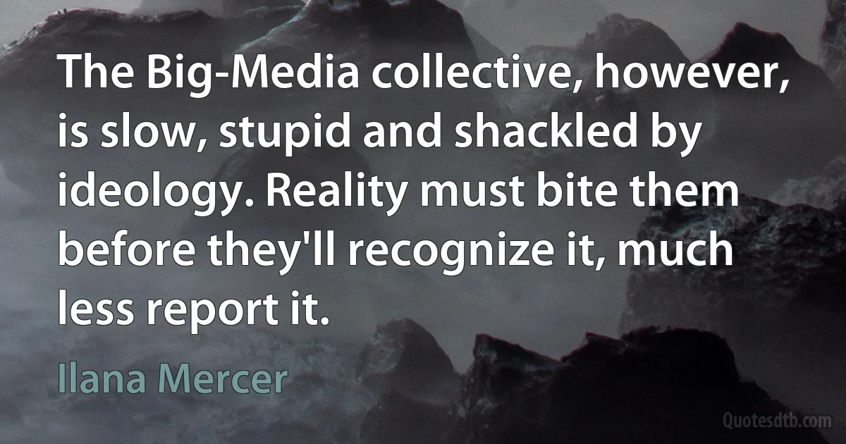 The Big-Media collective, however, is slow, stupid and shackled by ideology. Reality must bite them before they'll recognize it, much less report it. (Ilana Mercer)