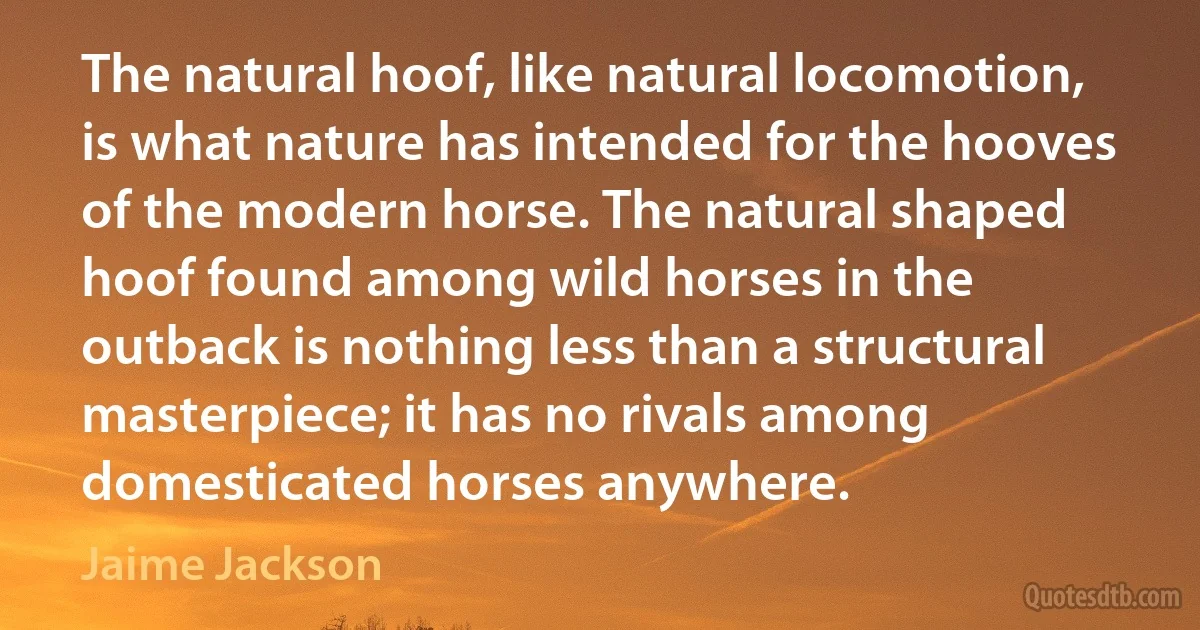 The natural hoof, like natural locomotion, is what nature has intended for the hooves of the modern horse. The natural shaped hoof found among wild horses in the outback is nothing less than a structural masterpiece; it has no rivals among domesticated horses anywhere. (Jaime Jackson)