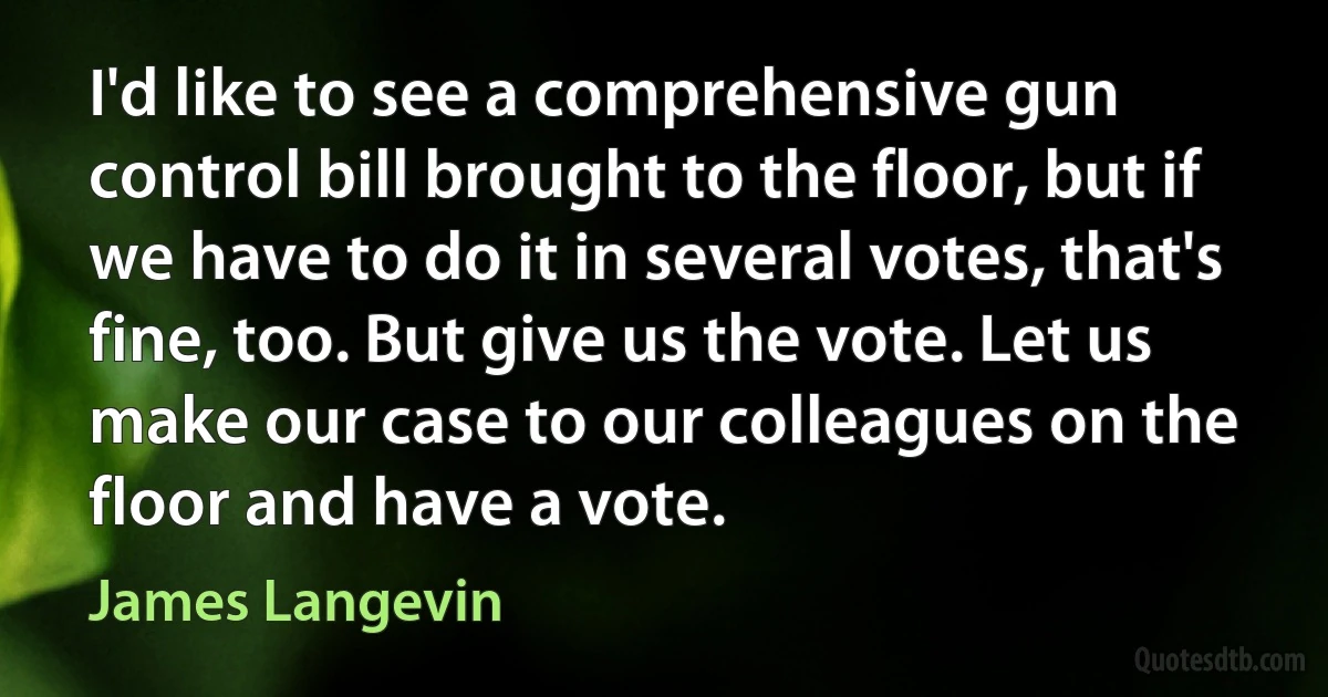 I'd like to see a comprehensive gun control bill brought to the floor, but if we have to do it in several votes, that's fine, too. But give us the vote. Let us make our case to our colleagues on the floor and have a vote. (James Langevin)