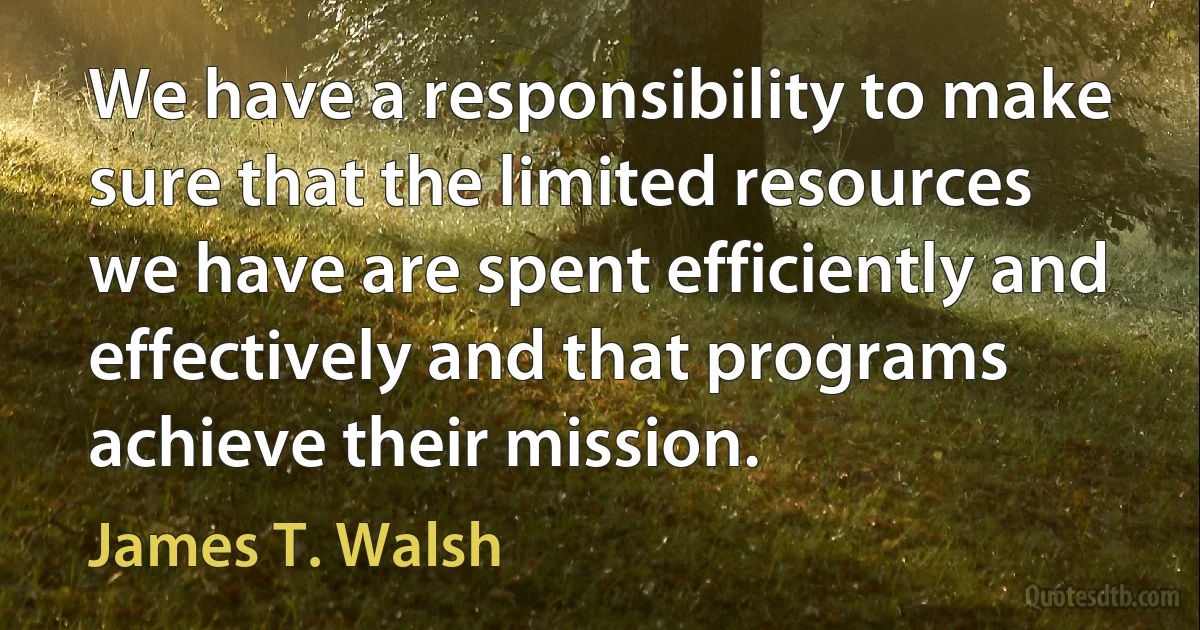 We have a responsibility to make sure that the limited resources we have are spent efficiently and effectively and that programs achieve their mission. (James T. Walsh)