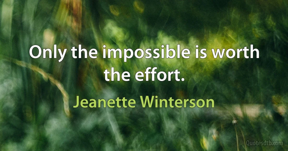 Only the impossible is worth the effort. (Jeanette Winterson)