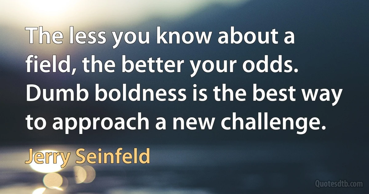 The less you know about a field, the better your odds. Dumb boldness is the best way to approach a new challenge. (Jerry Seinfeld)