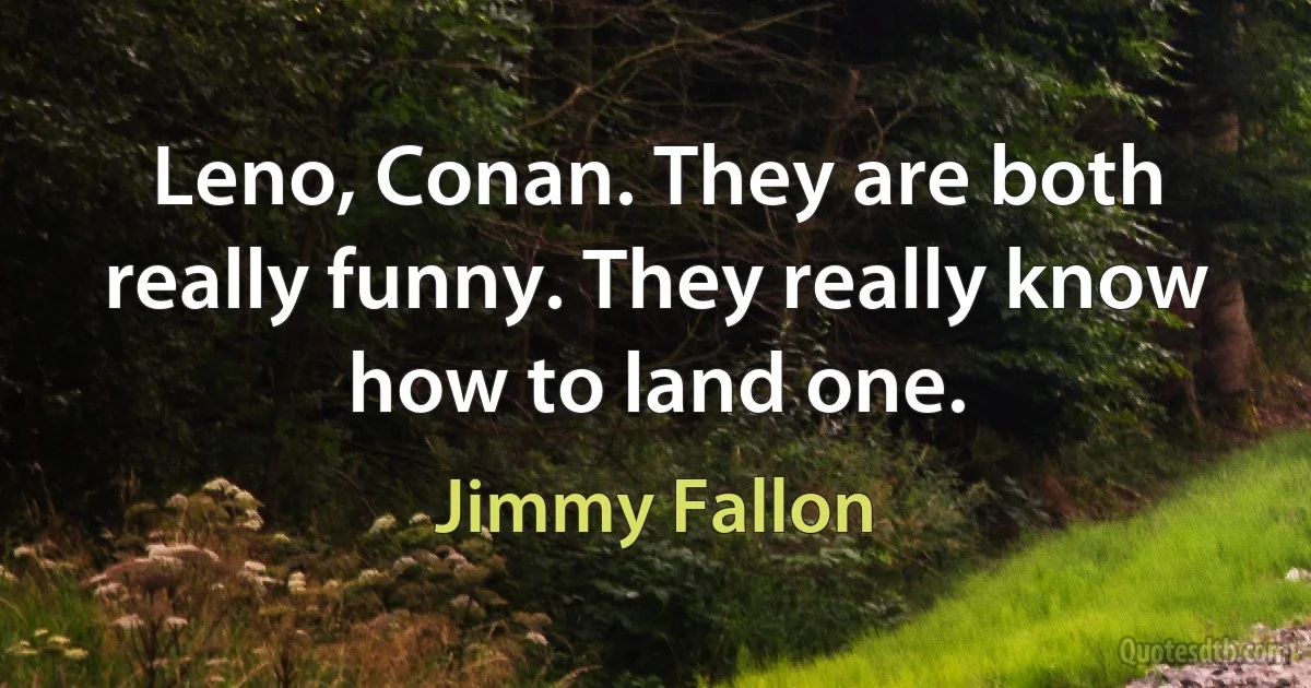 Leno, Conan. They are both really funny. They really know how to land one. (Jimmy Fallon)