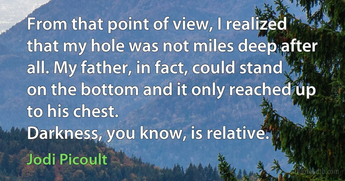 From that point of view, I realized that my hole was not miles deep after all. My father, in fact, could stand on the bottom and it only reached up to his chest.
Darkness, you know, is relative. (Jodi Picoult)