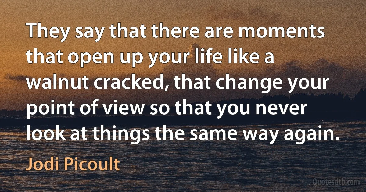 They say that there are moments that open up your life like a walnut cracked, that change your point of view so that you never look at things the same way again. (Jodi Picoult)