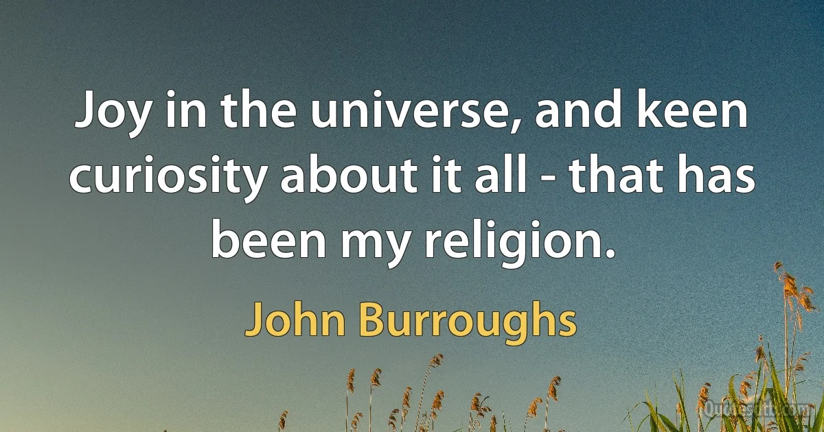 Joy in the universe, and keen curiosity about it all - that has been my religion. (John Burroughs)