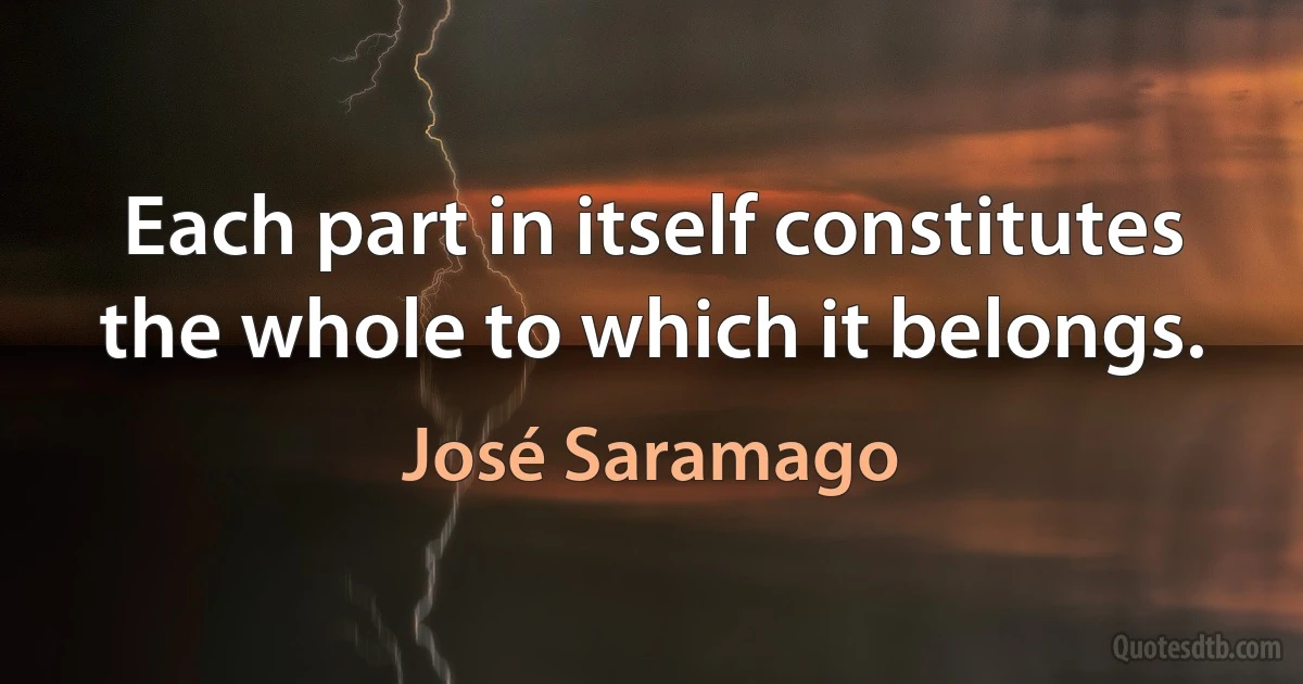 Each part in itself constitutes the whole to which it belongs. (José Saramago)