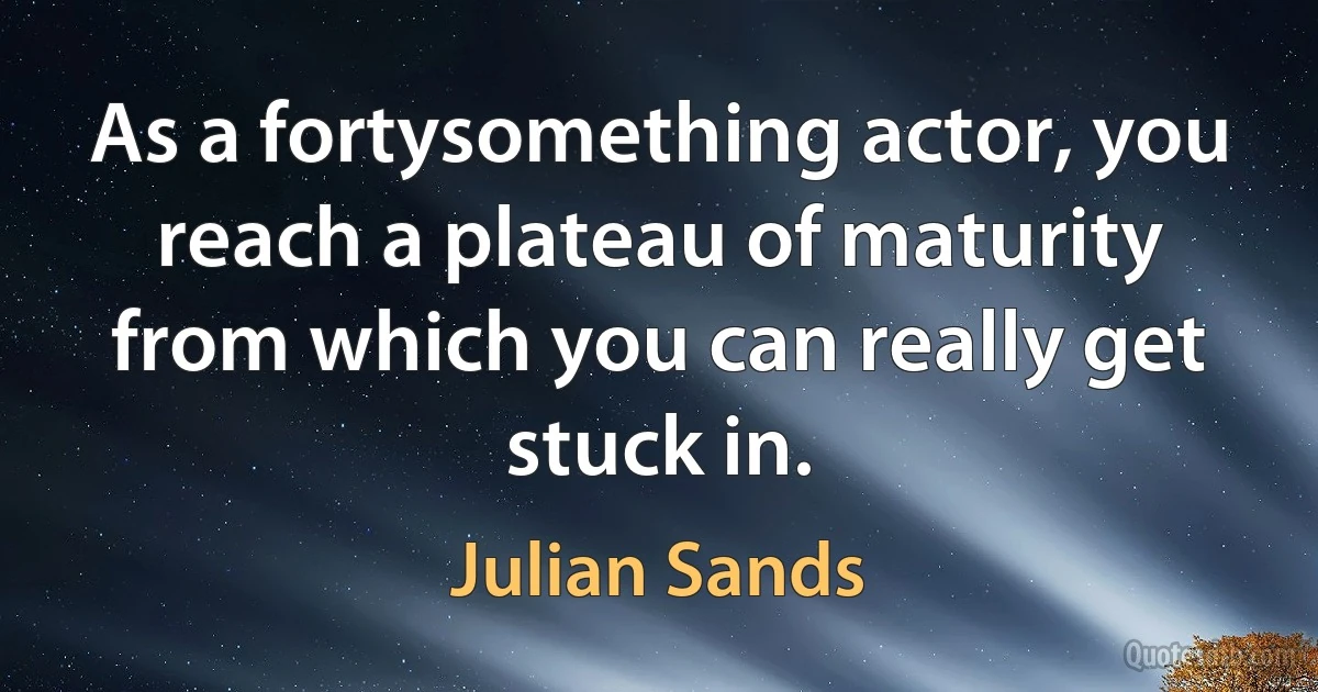 As a fortysomething actor, you reach a plateau of maturity from which you can really get stuck in. (Julian Sands)