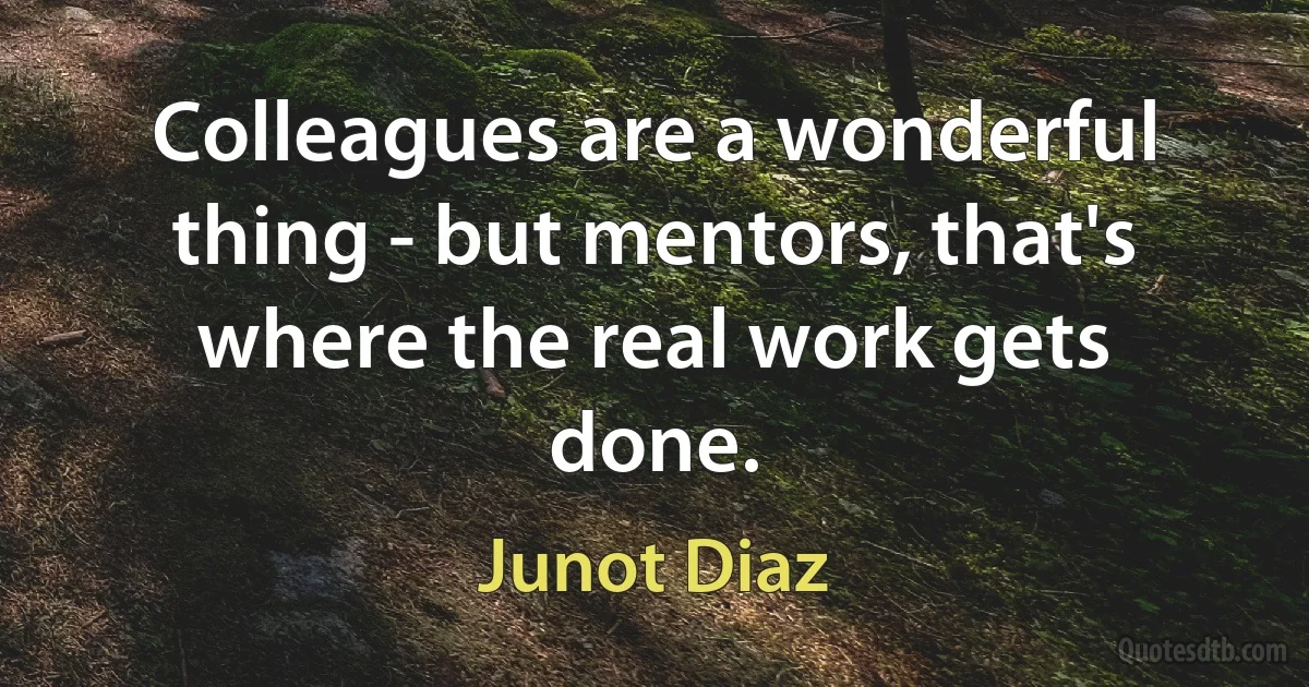 Colleagues are a wonderful thing - but mentors, that's where the real work gets done. (Junot Diaz)