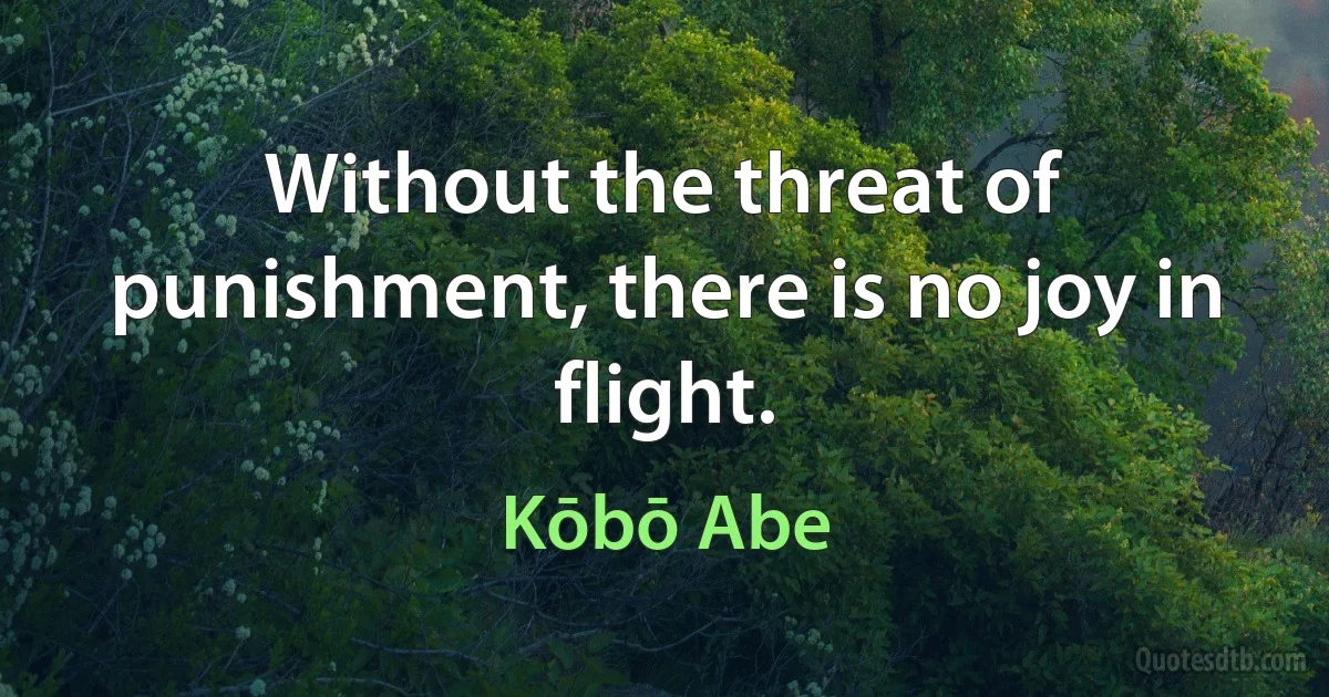 Without the threat of punishment, there is no joy in flight. (Kōbō Abe)