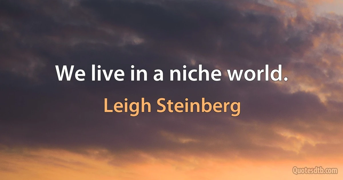 We live in a niche world. (Leigh Steinberg)