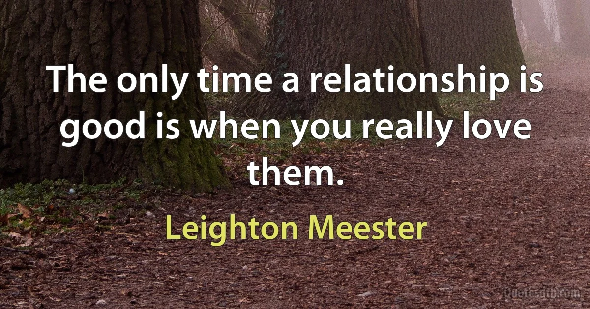 The only time a relationship is good is when you really love them. (Leighton Meester)