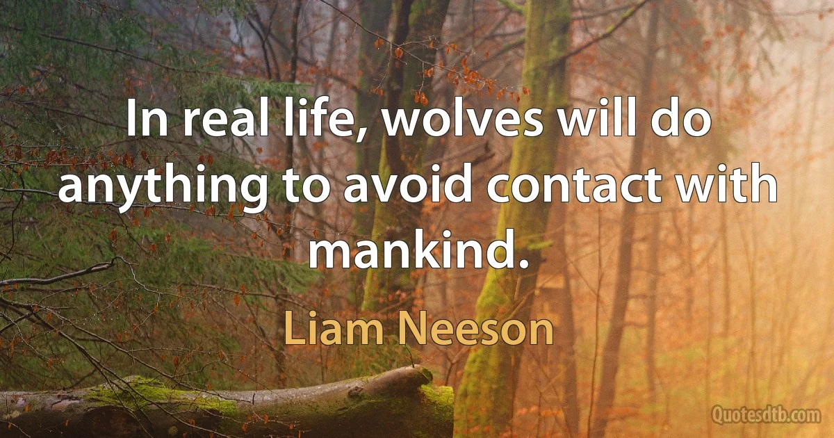 In real life, wolves will do anything to avoid contact with mankind. (Liam Neeson)