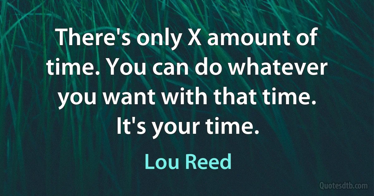 There's only X amount of time. You can do whatever you want with that time. It's your time. (Lou Reed)