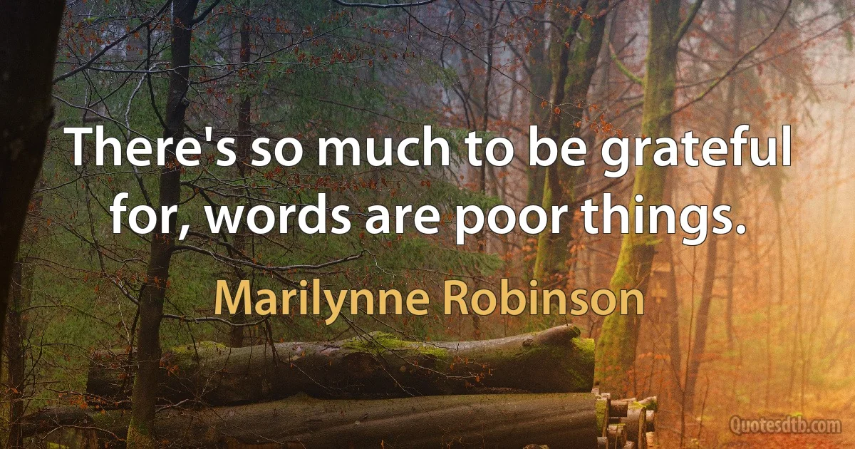 There's so much to be grateful for, words are poor things. (Marilynne Robinson)