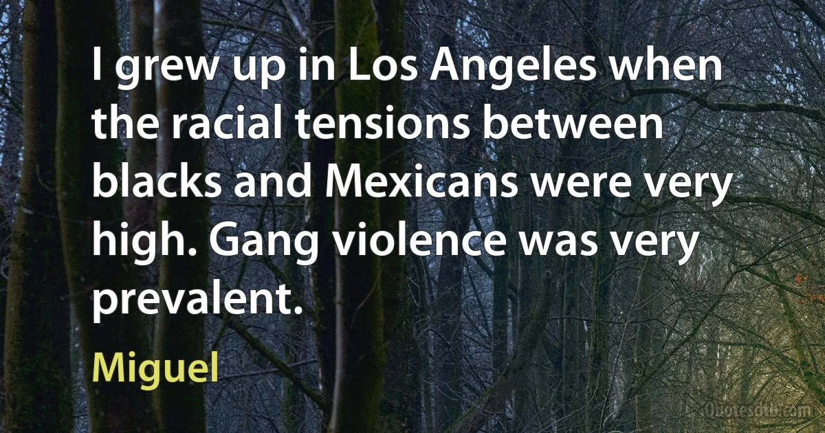 I grew up in Los Angeles when the racial tensions between blacks and Mexicans were very high. Gang violence was very prevalent. (Miguel)