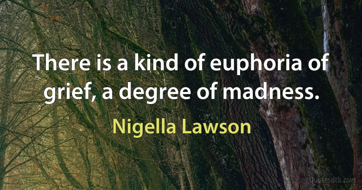 There is a kind of euphoria of grief, a degree of madness. (Nigella Lawson)