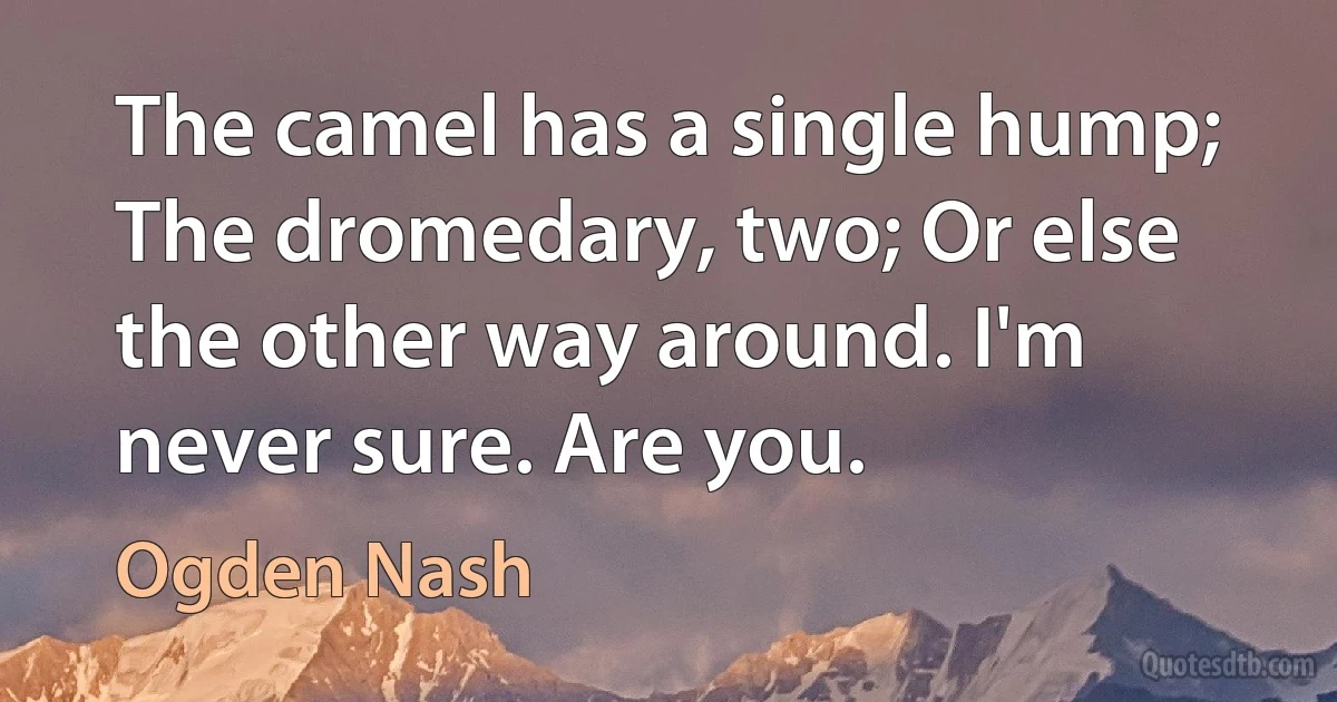 The camel has a single hump; The dromedary, two; Or else the other way around. I'm never sure. Are you. (Ogden Nash)