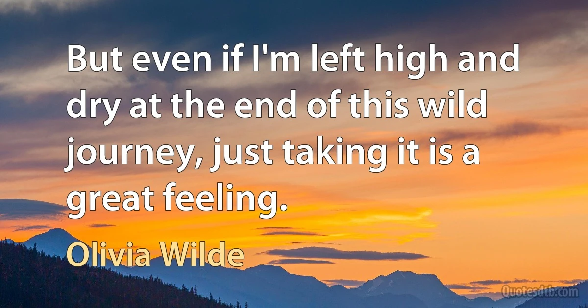 But even if I'm left high and dry at the end of this wild journey, just taking it is a great feeling. (Olivia Wilde)