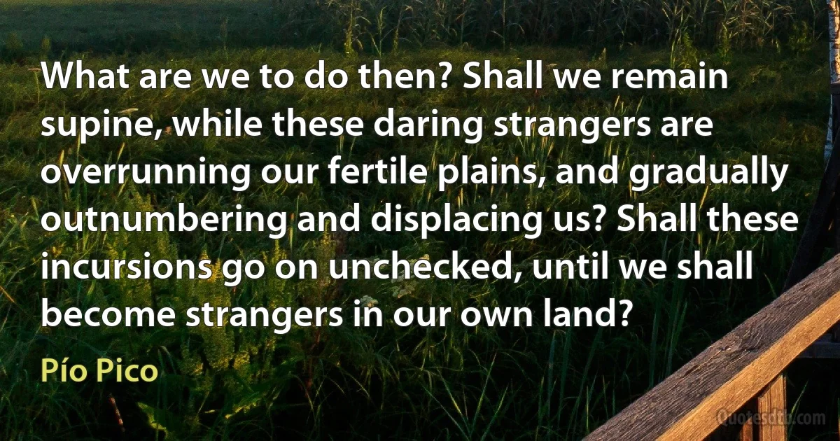 What are we to do then? Shall we remain supine, while these daring strangers are overrunning our fertile plains, and gradually outnumbering and displacing us? Shall these incursions go on unchecked, until we shall become strangers in our own land? (Pío Pico)