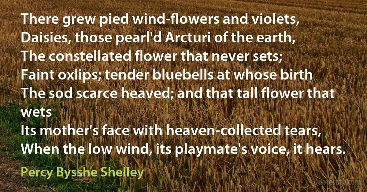 There grew pied wind-flowers and violets,
Daisies, those pearl'd Arcturi of the earth,
The constellated flower that never sets;
Faint oxlips; tender bluebells at whose birth
The sod scarce heaved; and that tall flower that wets
Its mother's face with heaven-collected tears,
When the low wind, its playmate's voice, it hears. (Percy Bysshe Shelley)