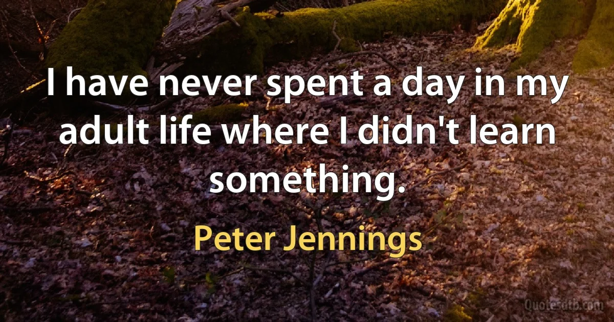 I have never spent a day in my adult life where I didn't learn something. (Peter Jennings)