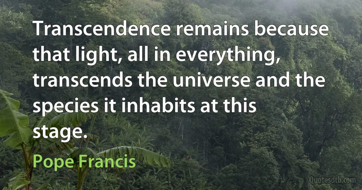 Transcendence remains because that light, all in everything, transcends the universe and the species it inhabits at this stage. (Pope Francis)