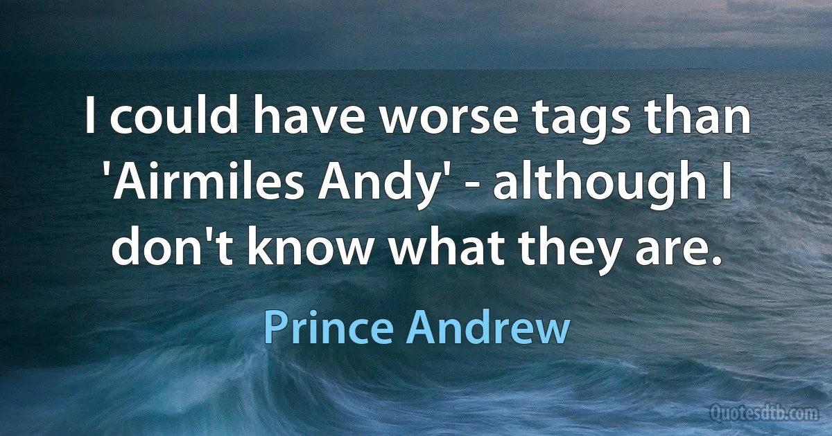 I could have worse tags than 'Airmiles Andy' - although I don't know what they are. (Prince Andrew)