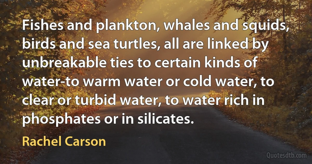 Fishes and plankton, whales and squids, birds and sea turtles, all are linked by unbreakable ties to certain kinds of water-to warm water or cold water, to clear or turbid water, to water rich in phosphates or in silicates. (Rachel Carson)