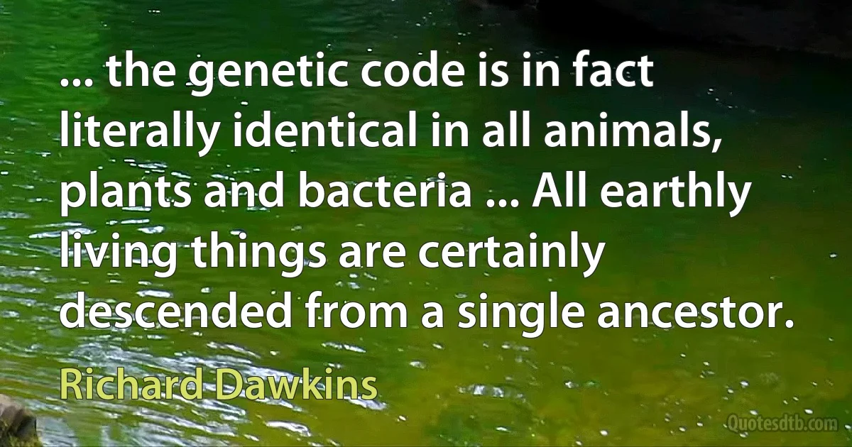 ... the genetic code is in fact literally identical in all animals, plants and bacteria ... All earthly living things are certainly descended from a single ancestor. (Richard Dawkins)