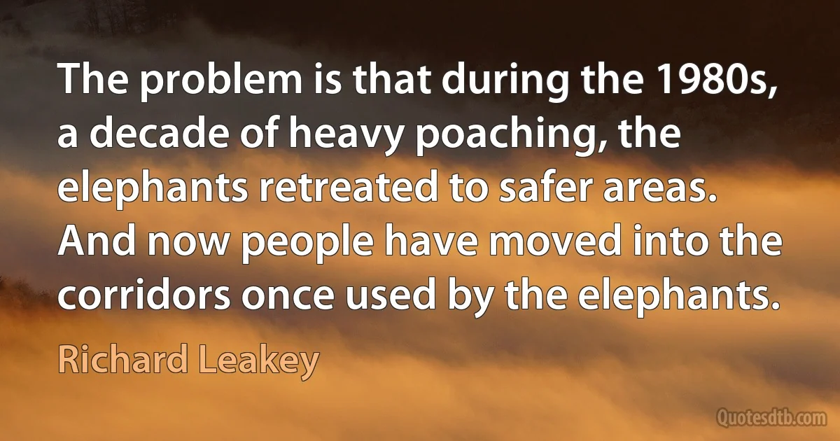 The problem is that during the 1980s, a decade of heavy poaching, the elephants retreated to safer areas. And now people have moved into the corridors once used by the elephants. (Richard Leakey)