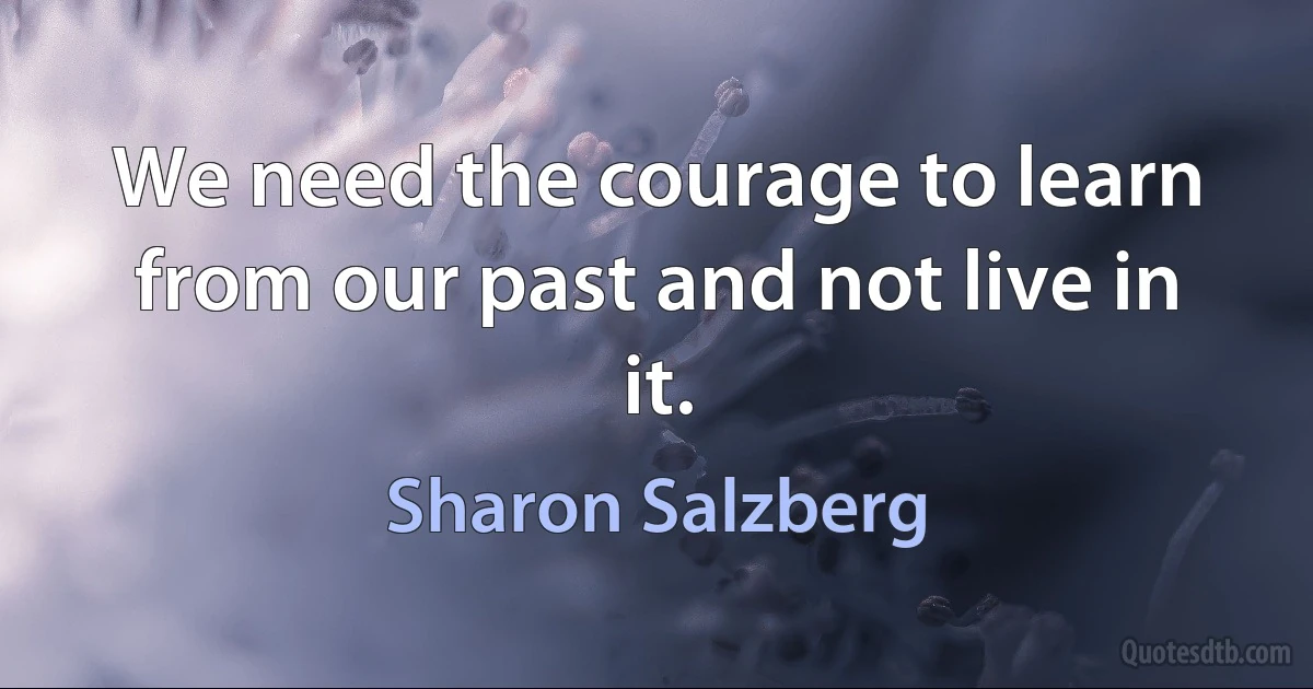 We need the courage to learn from our past and not live in it. (Sharon Salzberg)