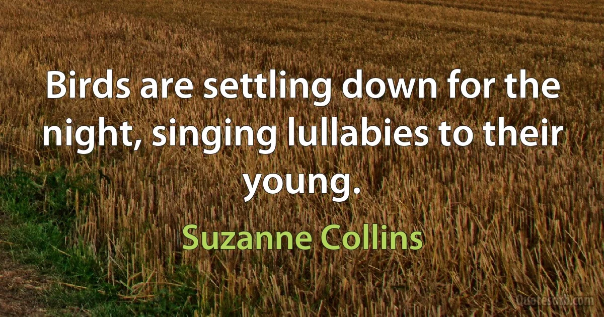 Birds are settling down for the night, singing lullabies to their young. (Suzanne Collins)