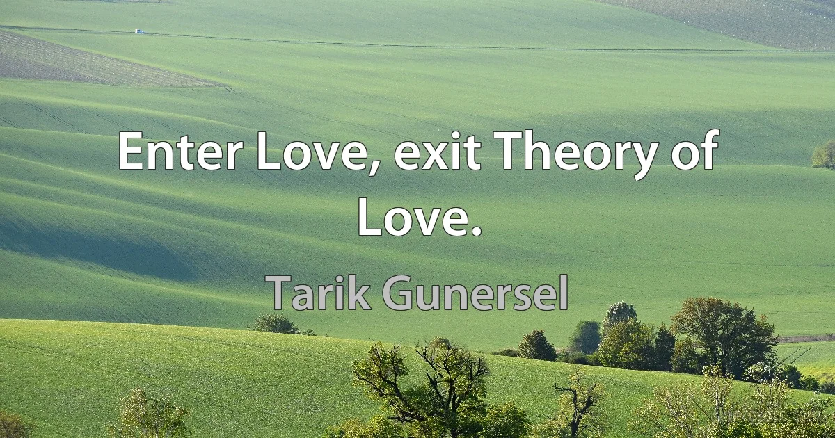 Enter Love, exit Theory of Love. (Tarik Gunersel)