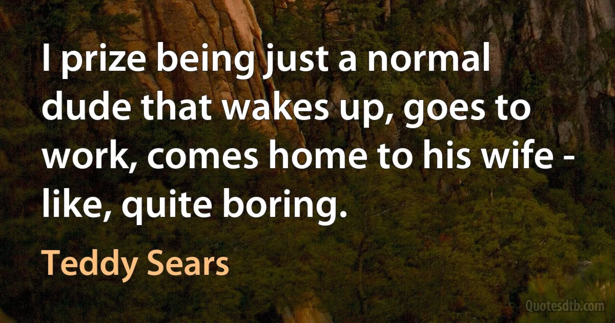 I prize being just a normal dude that wakes up, goes to work, comes home to his wife - like, quite boring. (Teddy Sears)